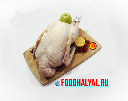 ГУСЬ ДОМАШНИЙ