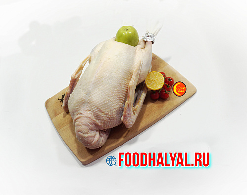ГУСЬ ДОМАШНИЙ